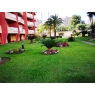 Apartament Playa de Gandia z basenem